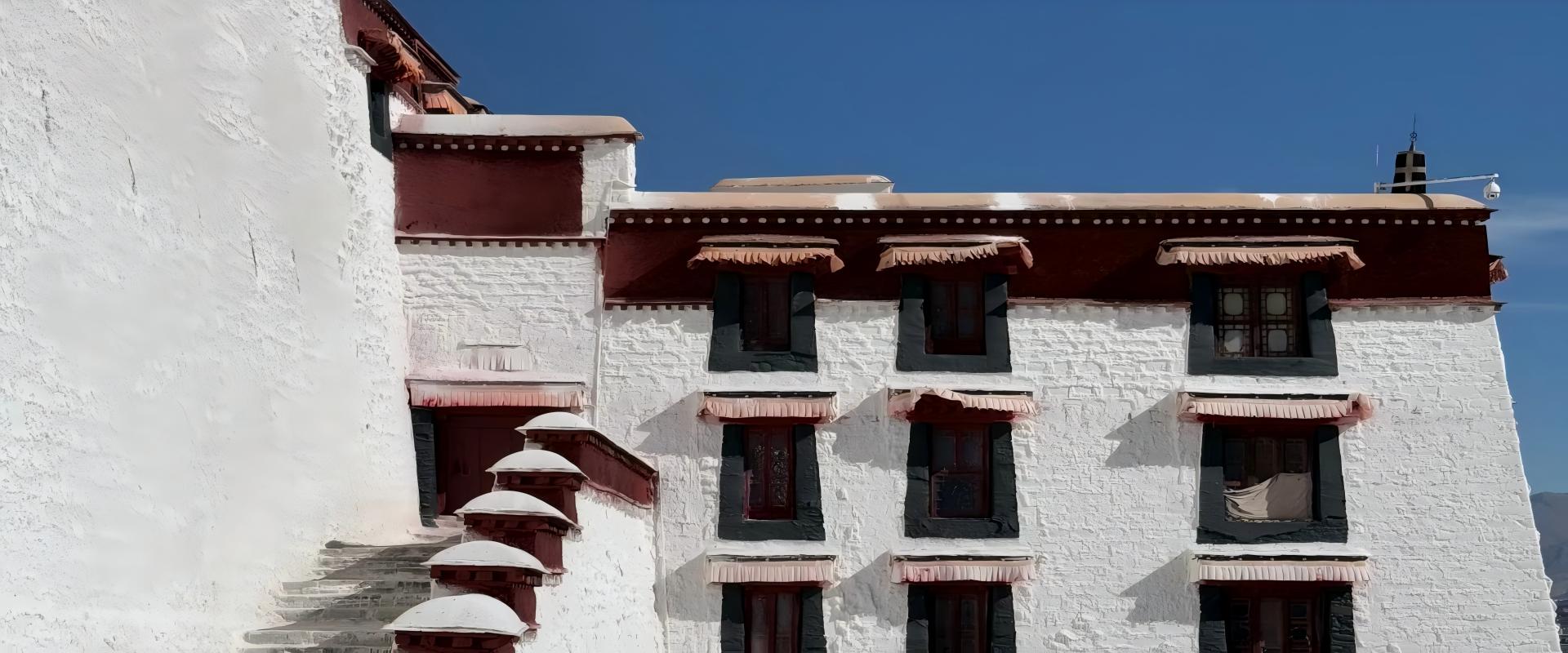 Peach Blossoms Amidst Snow-Capped Mountains