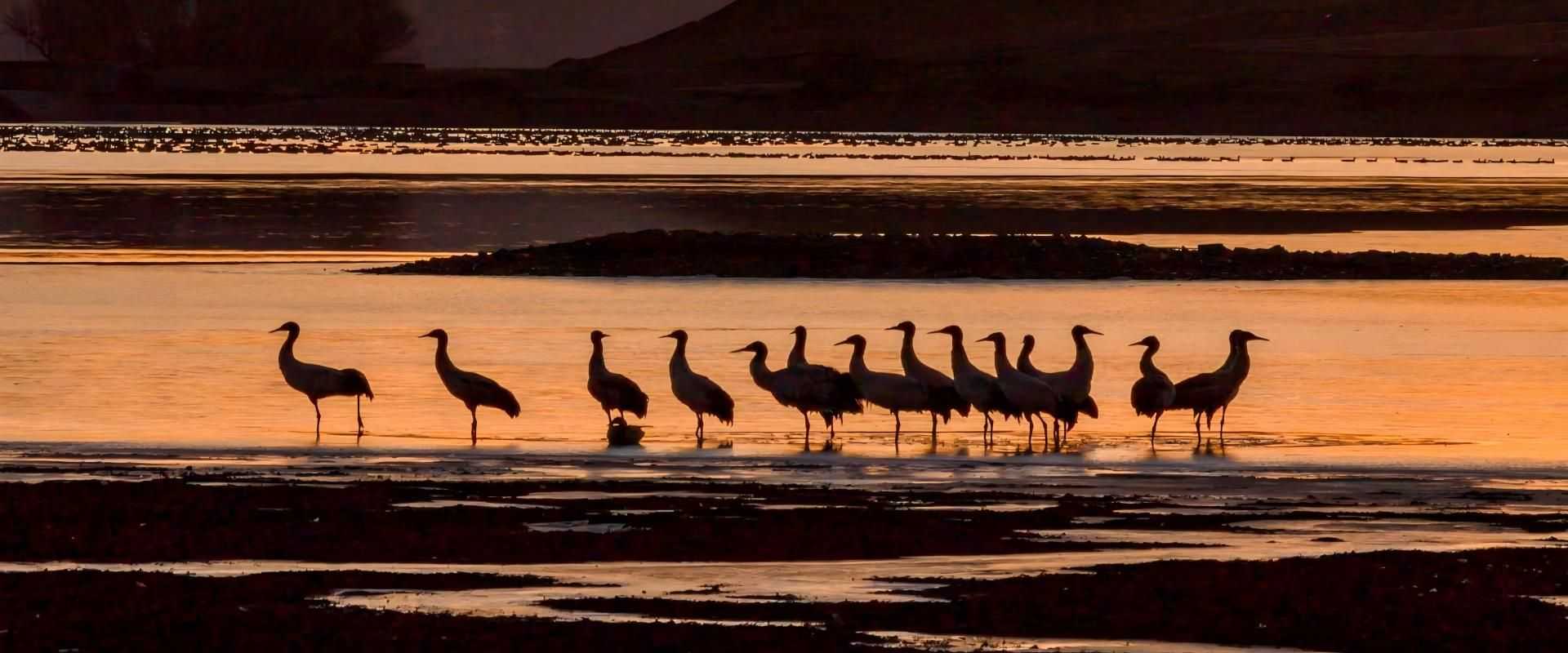 Panda & Ancient Shu · 5-Day Classic Tour