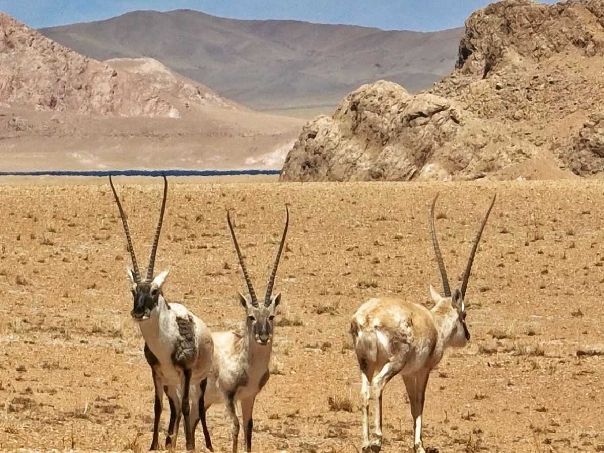 The Tibet Grand Loop – ‘Eastern Loop’